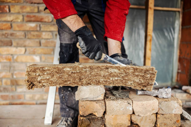 Best Insulation Replacement Services  in Lovington, IL